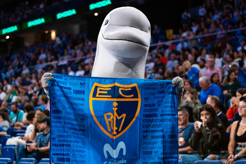 BANDERA MOVISTAR ESTUDIANTES